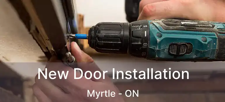  New Door Installation Myrtle - ON