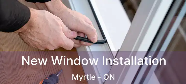  New Window Installation Myrtle - ON