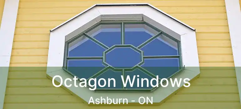  Octagon Windows Ashburn - ON