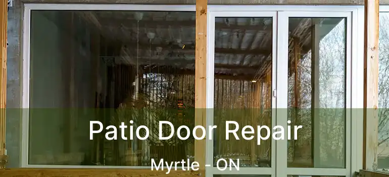  Patio Door Repair Myrtle - ON