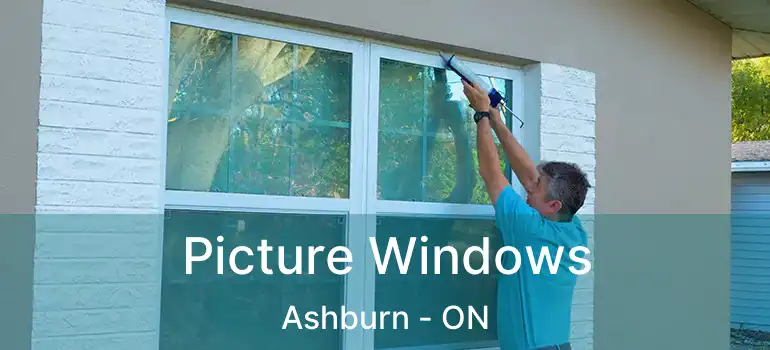  Picture Windows Ashburn - ON