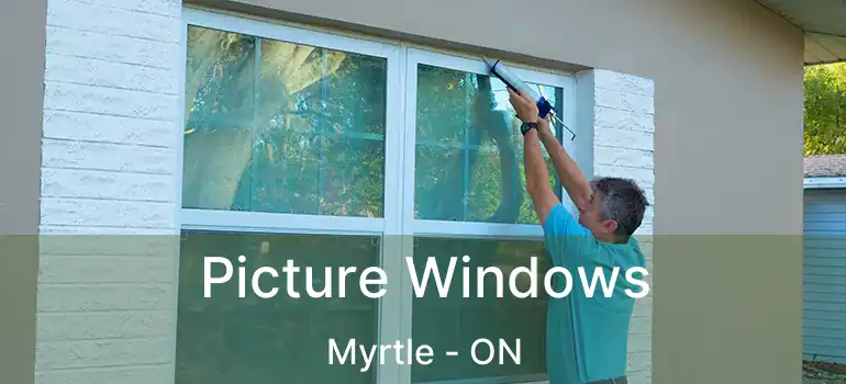  Picture Windows Myrtle - ON