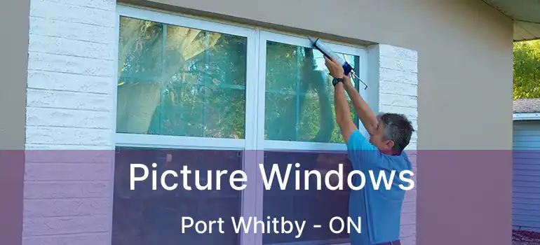  Picture Windows Port Whitby - ON