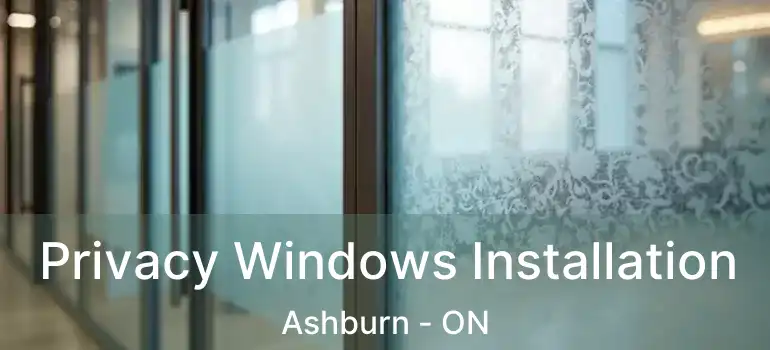  Privacy Windows Installation Ashburn - ON