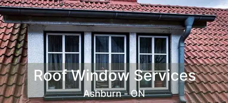  Roof Window Services Ashburn - ON