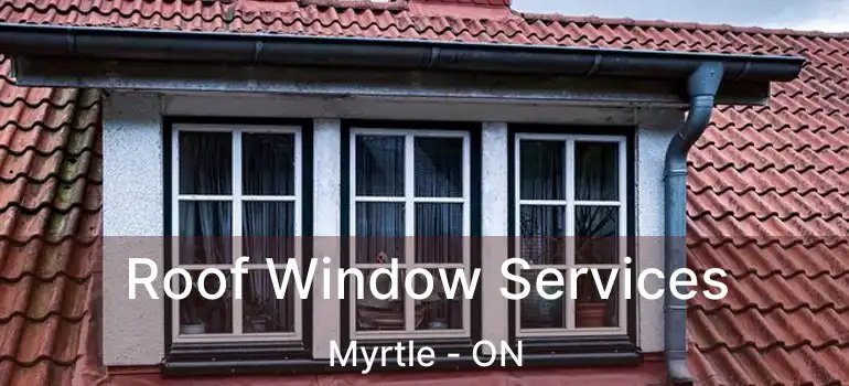  Roof Window Services Myrtle - ON