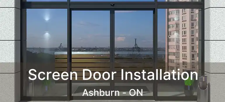  Screen Door Installation Ashburn - ON