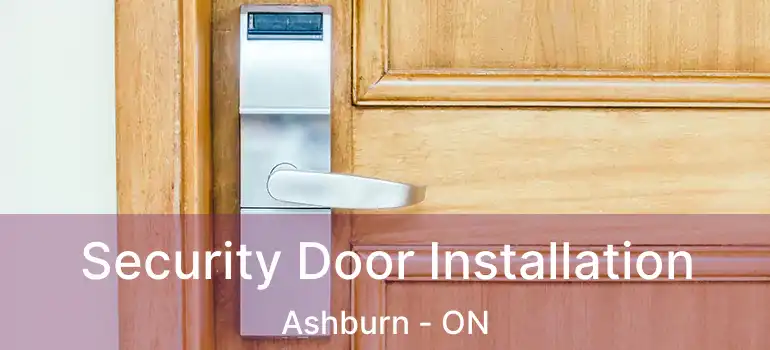  Security Door Installation Ashburn - ON