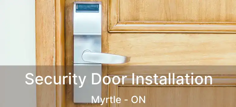  Security Door Installation Myrtle - ON