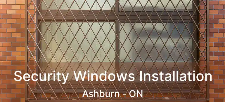  Security Windows Installation Ashburn - ON