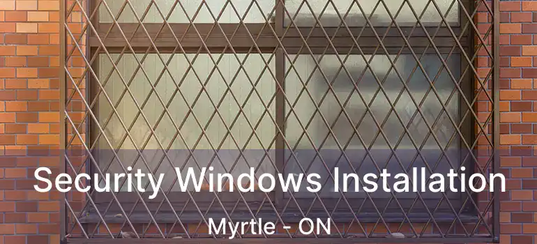  Security Windows Installation Myrtle - ON