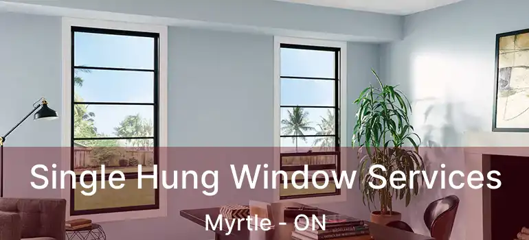  Single Hung Window Services Myrtle - ON
