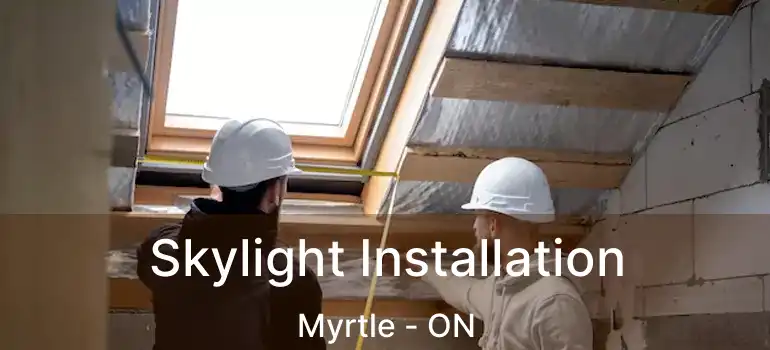  Skylight Installation Myrtle - ON