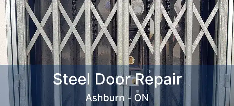  Steel Door Repair Ashburn - ON
