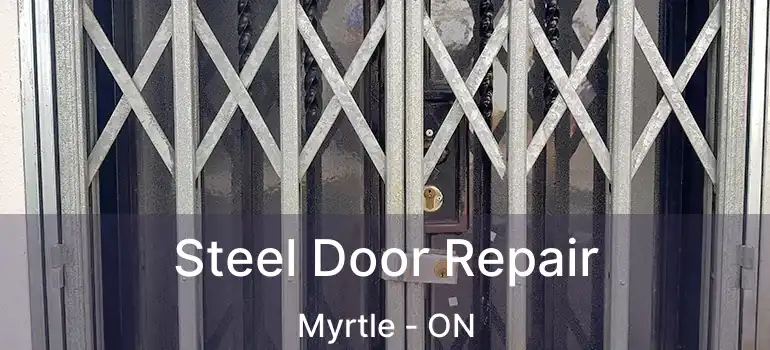  Steel Door Repair Myrtle - ON