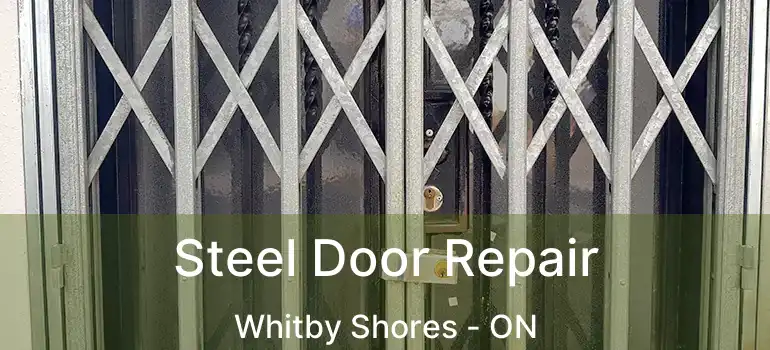  Steel Door Repair Whitby Shores - ON