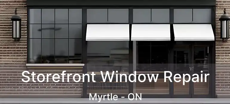  Storefront Window Repair Myrtle - ON