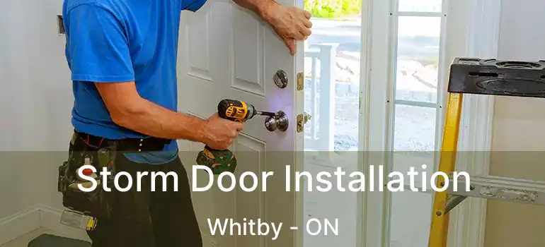  Storm Door Installation Whitby - ON