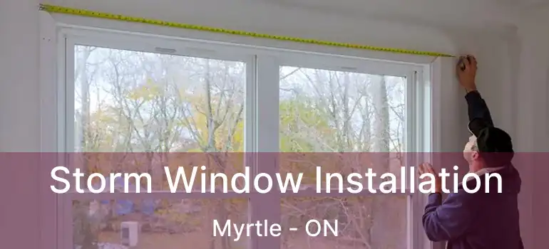  Storm Window Installation Myrtle - ON