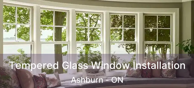  Tempered Glass Window Installation Ashburn - ON