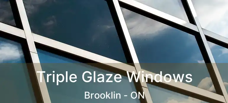  Triple Glaze Windows Brooklin - ON