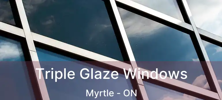 Triple Glaze Windows Myrtle - ON