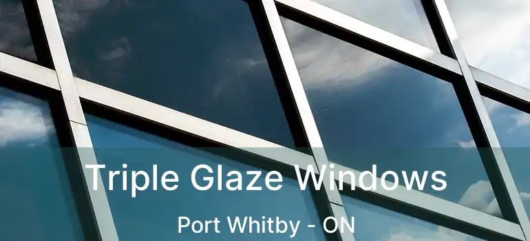  Triple Glaze Windows Port Whitby - ON