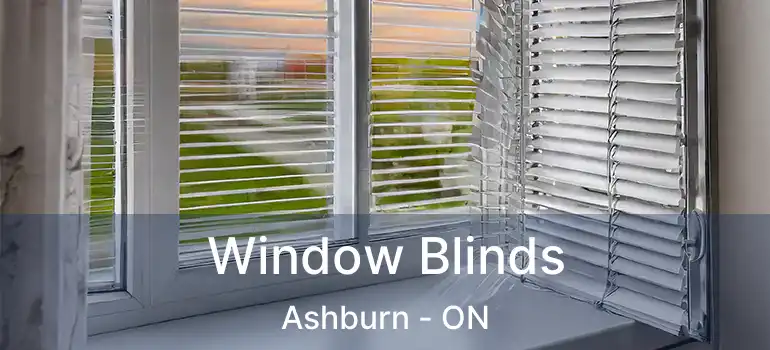 Window Blinds Ashburn - ON