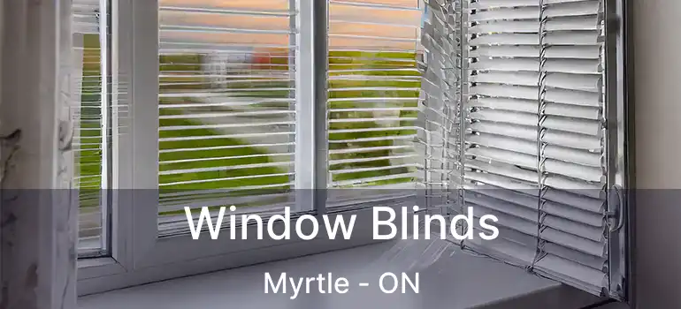  Window Blinds Myrtle - ON