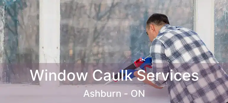  Window Caulk Services Ashburn - ON