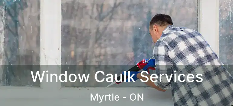  Window Caulk Services Myrtle - ON
