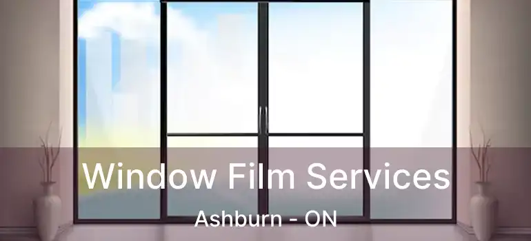  Window Film Services Ashburn - ON