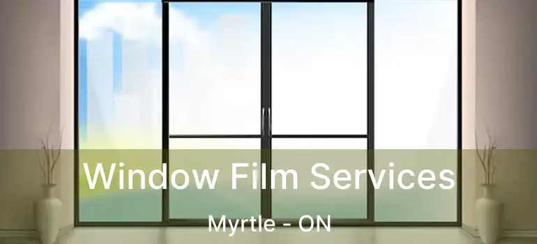  Window Film Services Myrtle - ON