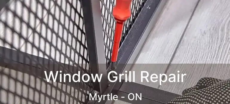  Window Grill Repair Myrtle - ON