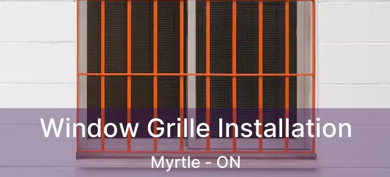  Window Grille Installation Myrtle - ON