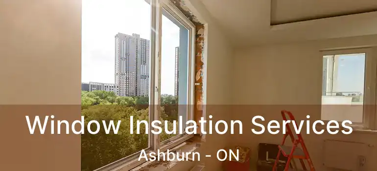  Window Insulation Services Ashburn - ON