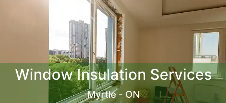  Window Insulation Services Myrtle - ON