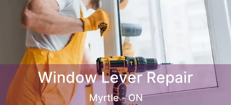  Window Lever Repair Myrtle - ON