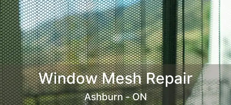  Window Mesh Repair Ashburn - ON