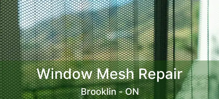  Window Mesh Repair Brooklin - ON