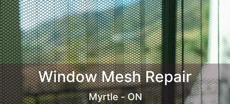  Window Mesh Repair Myrtle - ON
