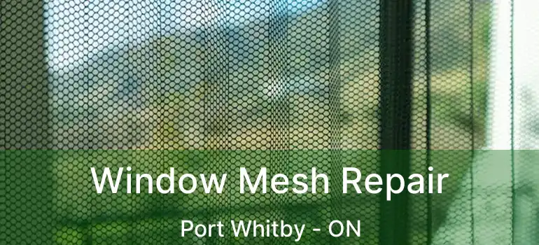  Window Mesh Repair Port Whitby - ON