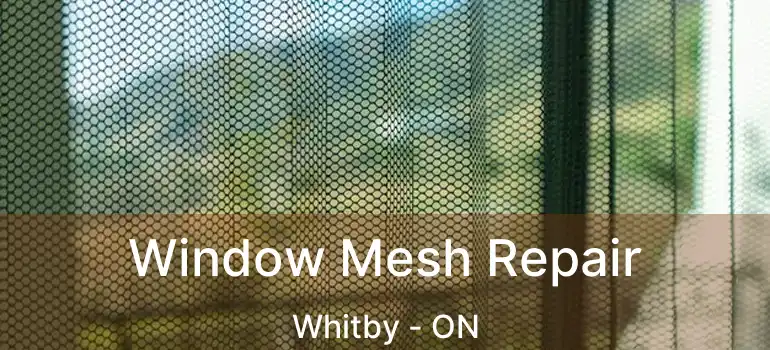  Window Mesh Repair Whitby - ON