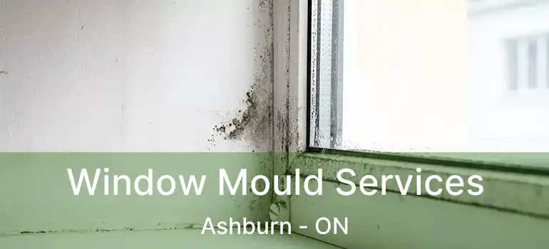  Window Mould Services Ashburn - ON