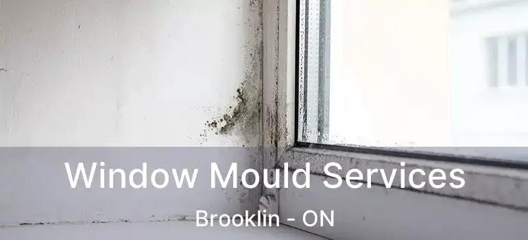  Window Mould Services Brooklin - ON
