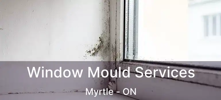  Window Mould Services Myrtle - ON