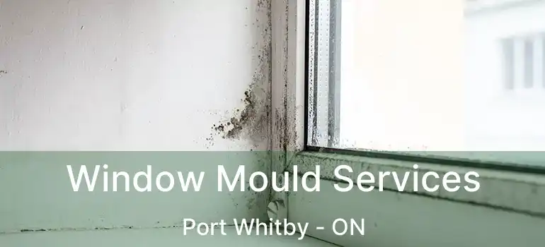  Window Mould Services Port Whitby - ON