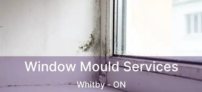  Window Mould Services Whitby - ON