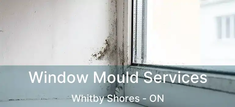  Window Mould Services Whitby Shores - ON