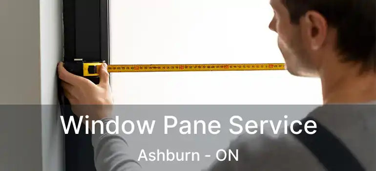  Window Pane Service Ashburn - ON